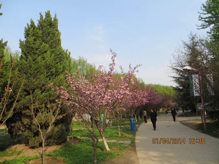 ������С IMG_6593.JPG