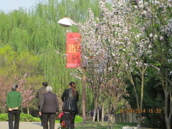 ������С IMG_6584.JPG