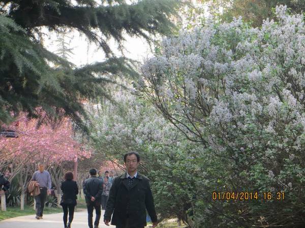 ������С IMG_6586.JPG