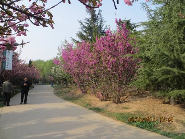 ������С IMG_6589.JPG