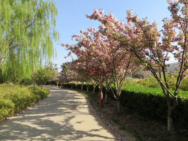 ������С IMG_0030.JPG