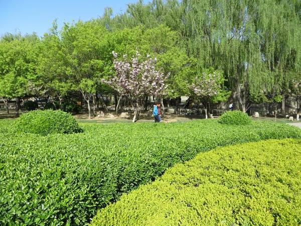 ������С IMG_0028.JPG