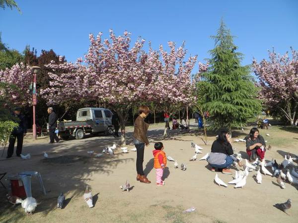 ������С IMG_0048.JPG