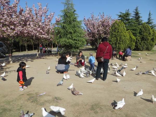 ������С IMG_0047.JPG