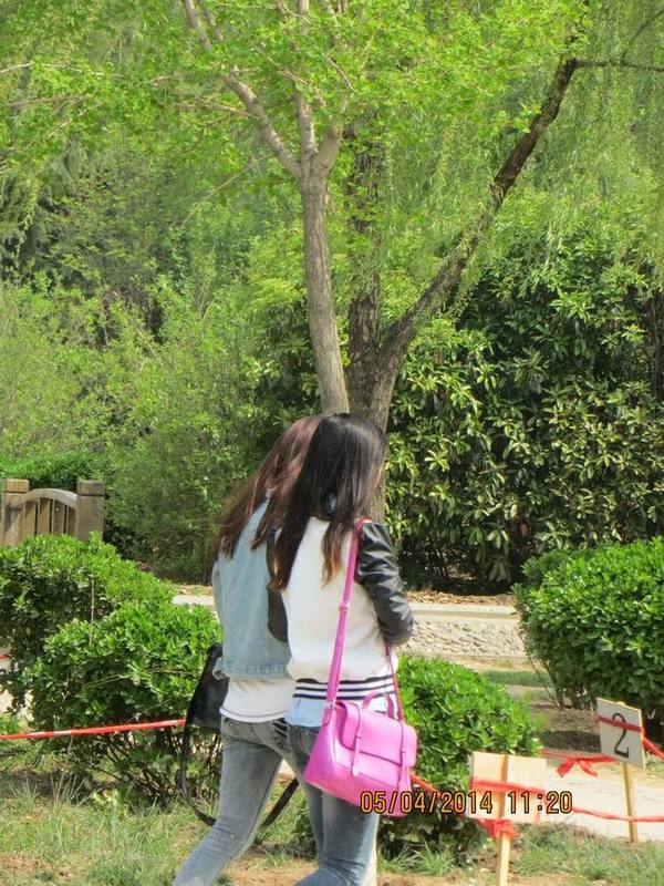 ������С IMG_6680.JPG