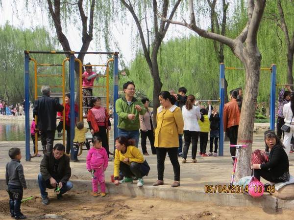 ������С IMG_6650.JPG