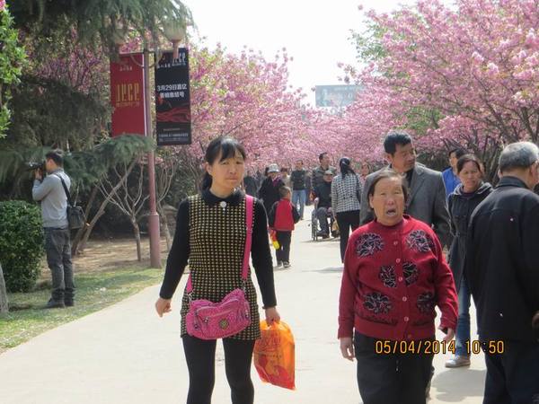 ������С IMG_6652.JPG