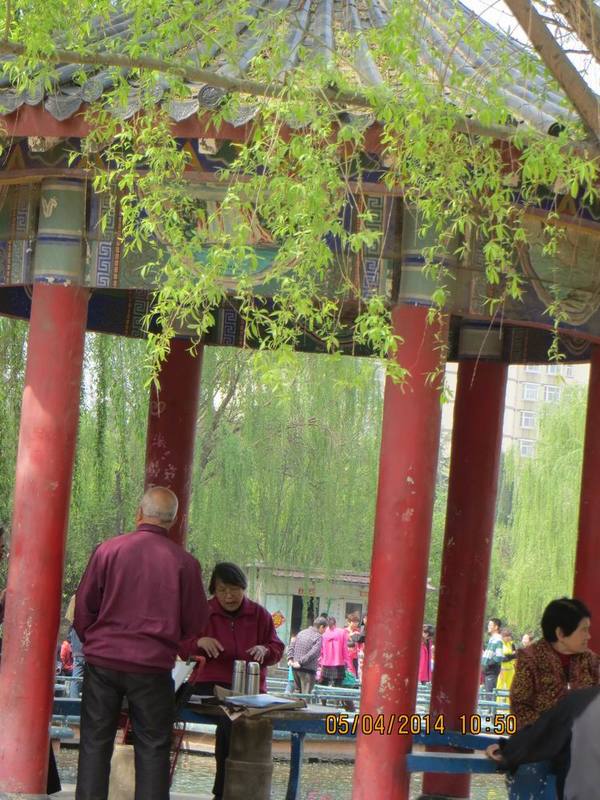 ������С IMG_6653.JPG