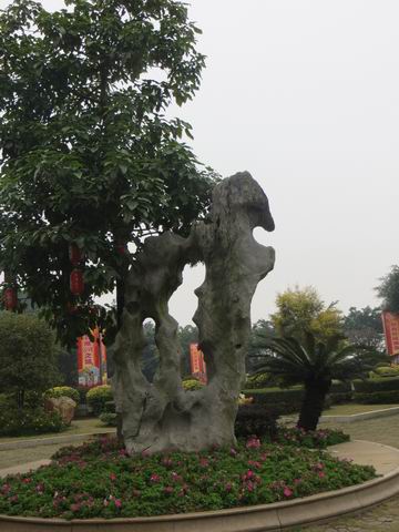 ������С ��ת IMG_5401.JPG