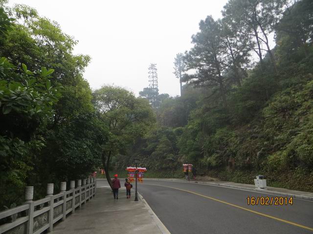 ������С IMG_5143.JPG