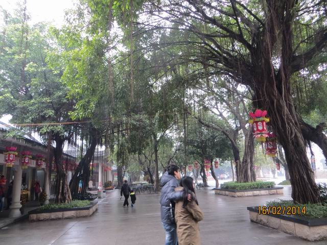 ������С IMG_5148.JPG