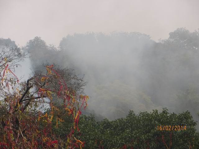 ������С IMG_5153.JPG