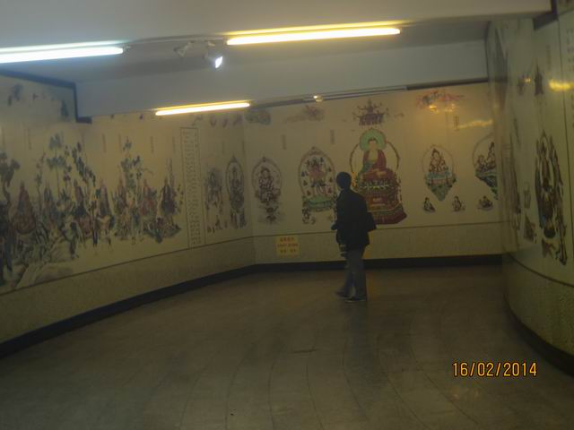 ������С IMG_5209.JPG