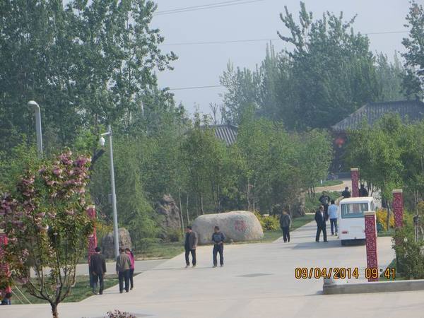 ������С IMG_6729.JPG