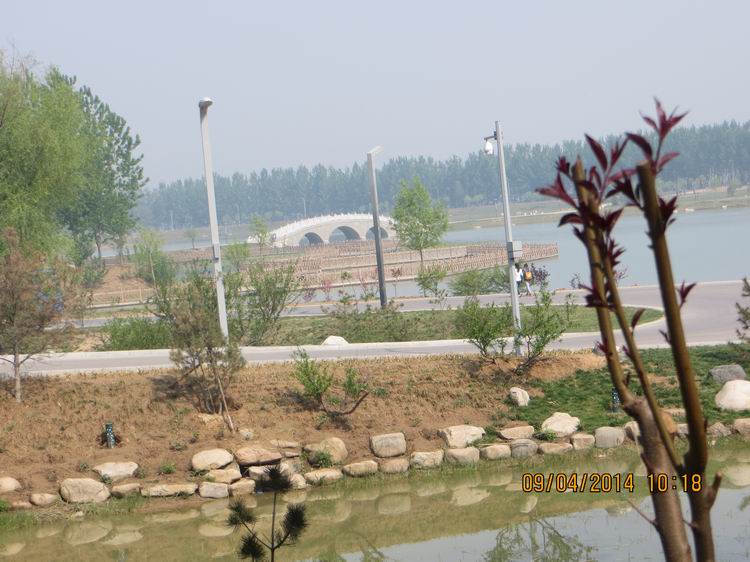 ������С IMG_6798.JPG