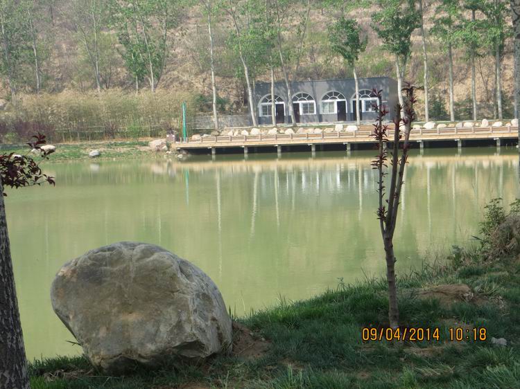 ������С IMG_6796.JPG