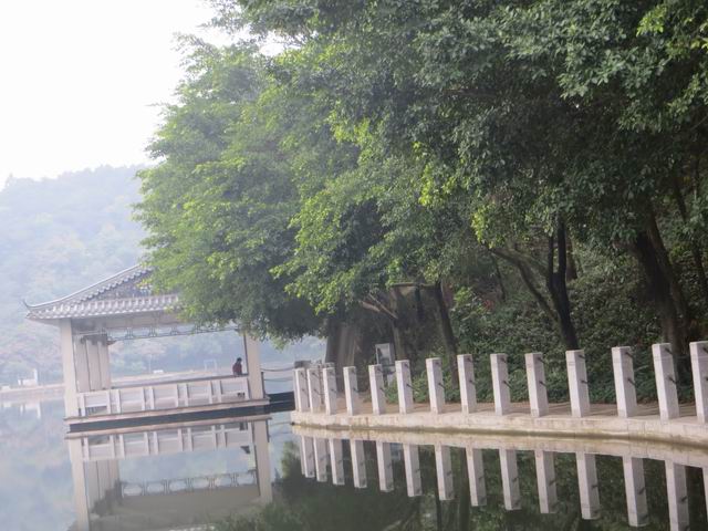 ������С IMG_5321.JPG