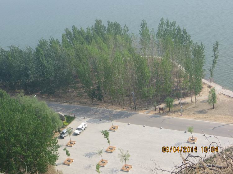 ������С IMG_6764.JPG