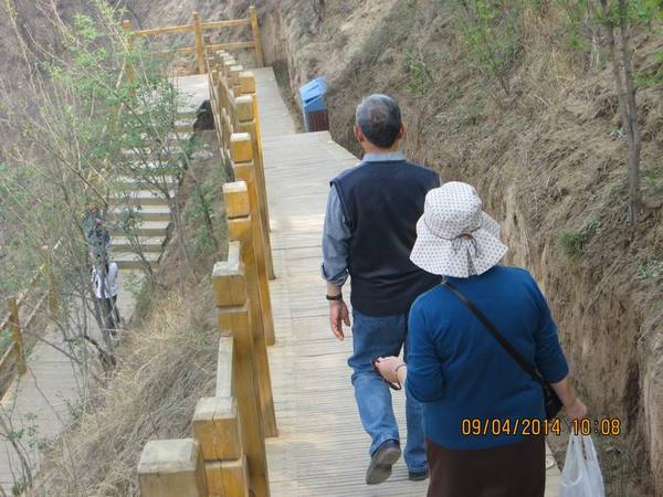 ������С IMG_6771.JPG