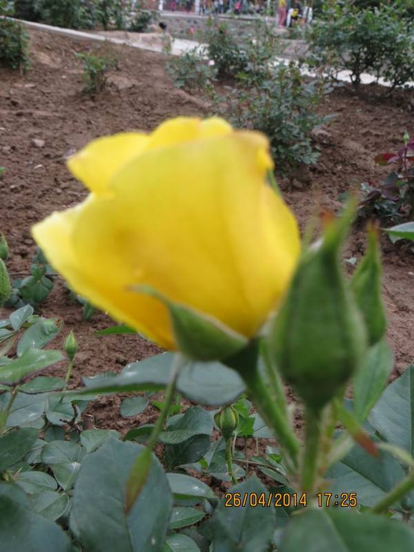 ������С IMG_6858.JPG