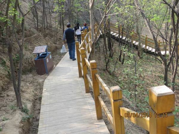 ������С IMG_6779.JPG