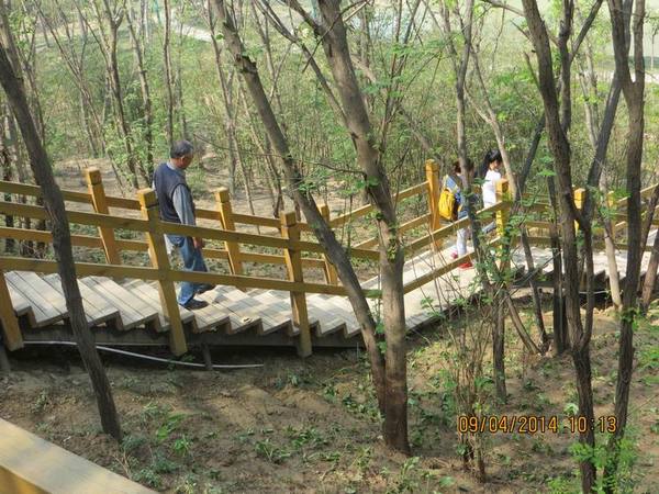 ������С IMG_6781.JPG