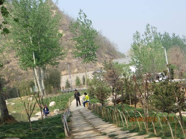 ������С IMG_6795.JPG