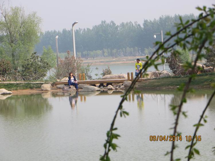 ������С IMG_6790.JPG