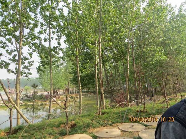 ������С IMG_6802.JPG