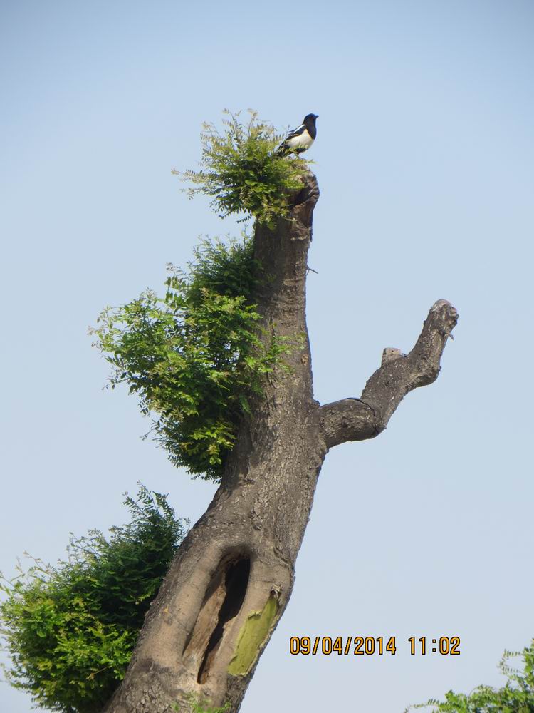 ������С IMG_6804.JPG