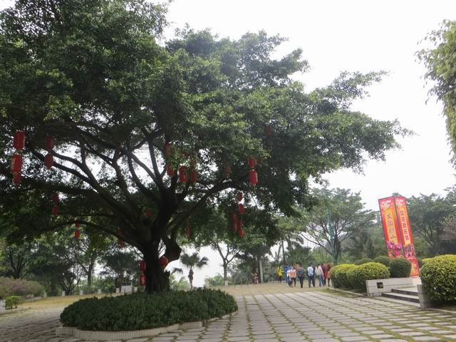 ������С IMG_5380.JPG