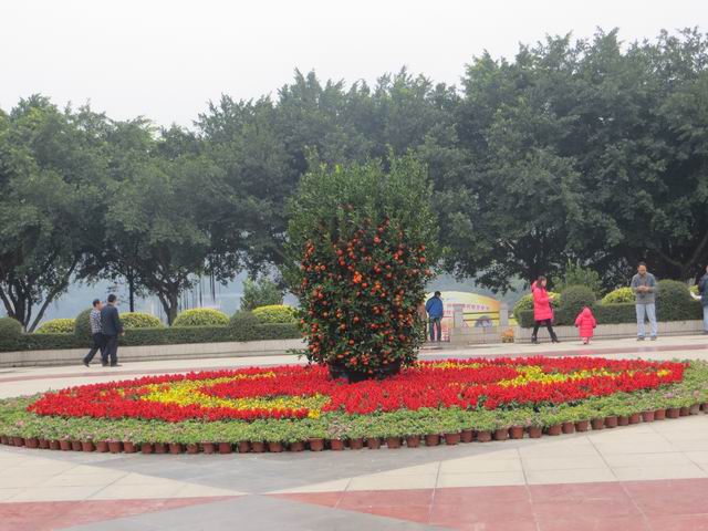 ������С IMG_5383.JPG