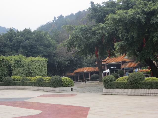 ������С IMG_5384.JPG