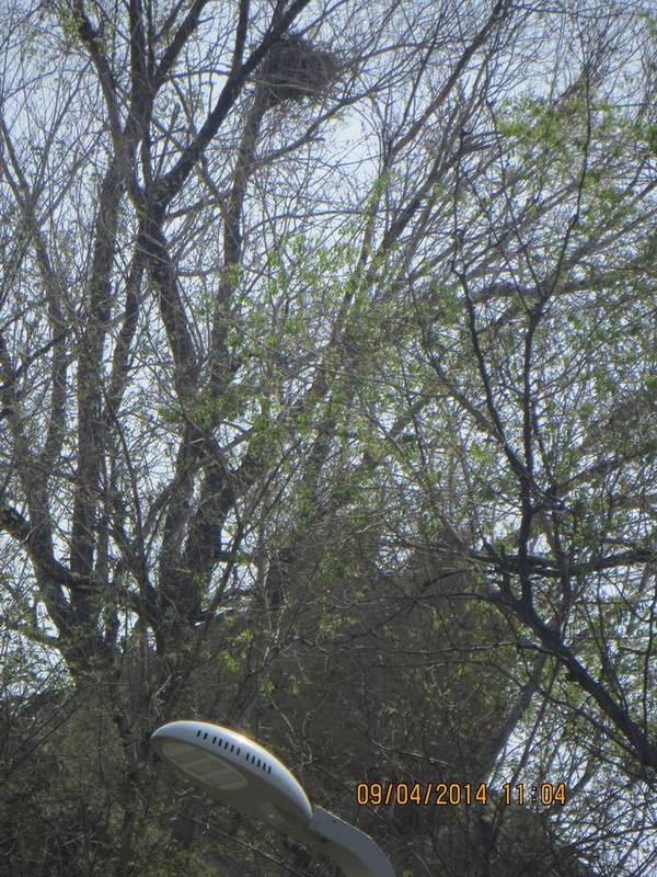 ������С IMG_6806.JPG