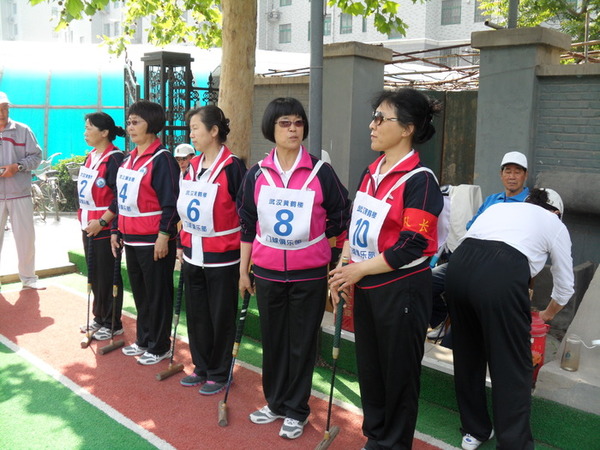 ��ʮ�������Ӿ������