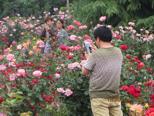 ������С IMG_7456.JPG