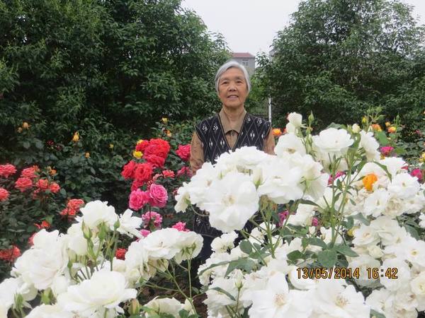 ������С IMG_7451.JPG