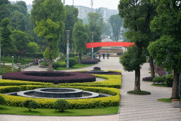 ����ƺ������԰