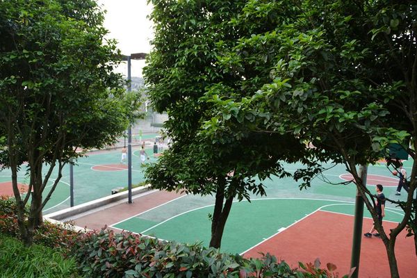 �山������ƺ������԰