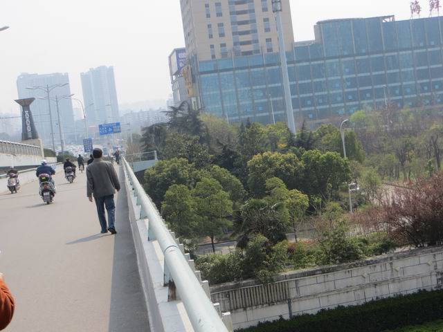 ������С IMG_5926.JPG