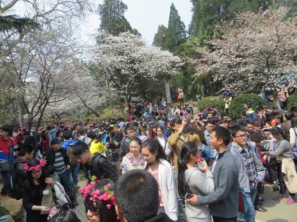 ������С IMG_6118.JPG