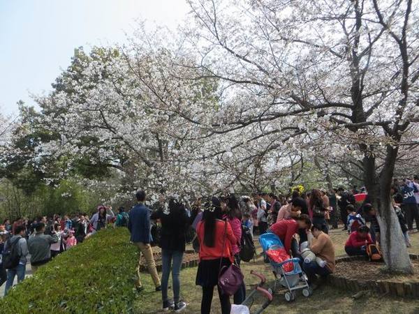 ������С IMG_6079.JPG