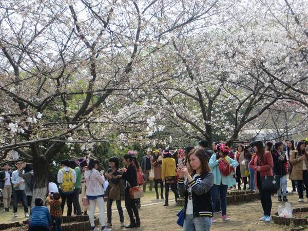 ������С IMG_6080.JPG