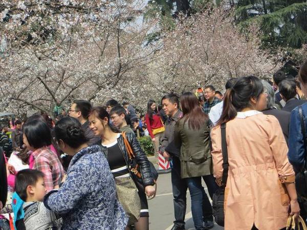 ������С IMG_6086.JPG