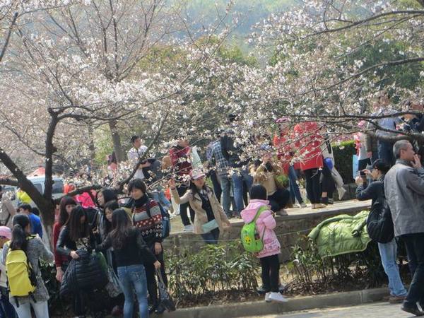 ������С IMG_6092.JPG