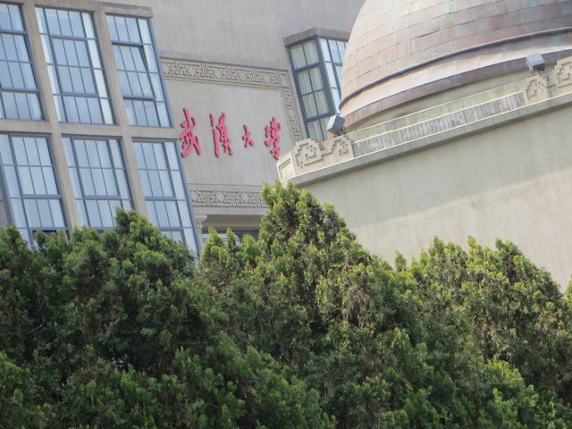 ������С IMG_6094.JPG