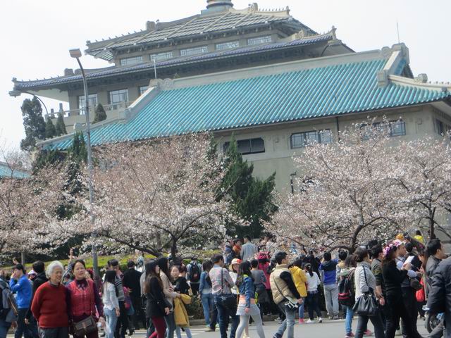 ������С IMG_6126.JPG