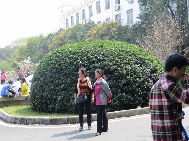 ������С IMG_6108.JPG