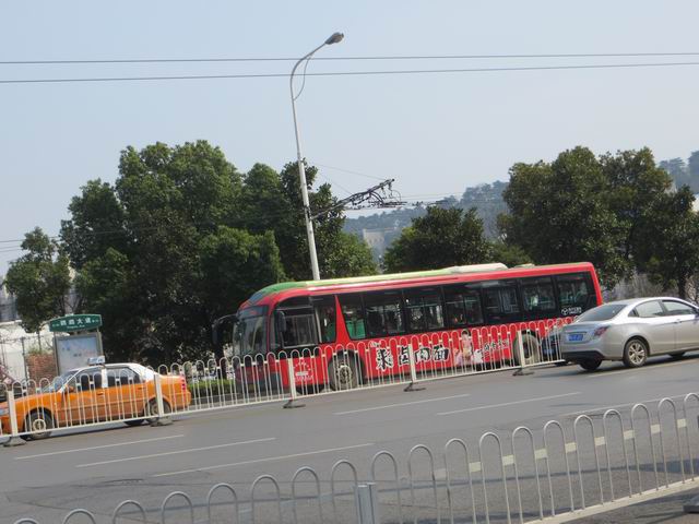 ������С IMG_5949.JPG