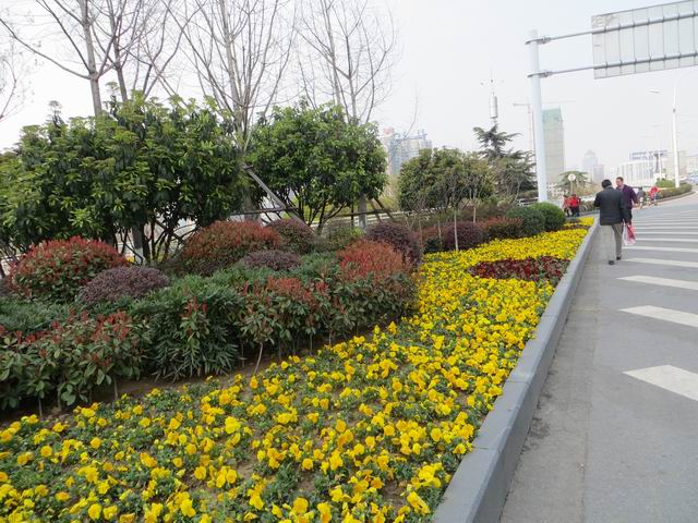 ������С IMG_5947.JPG